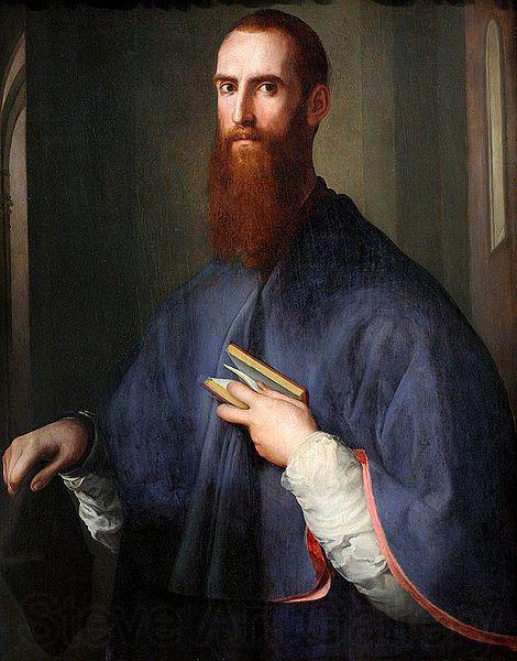 Jacopo Pontormo Portrat des Niccolo Ardinghelli Spain oil painting art